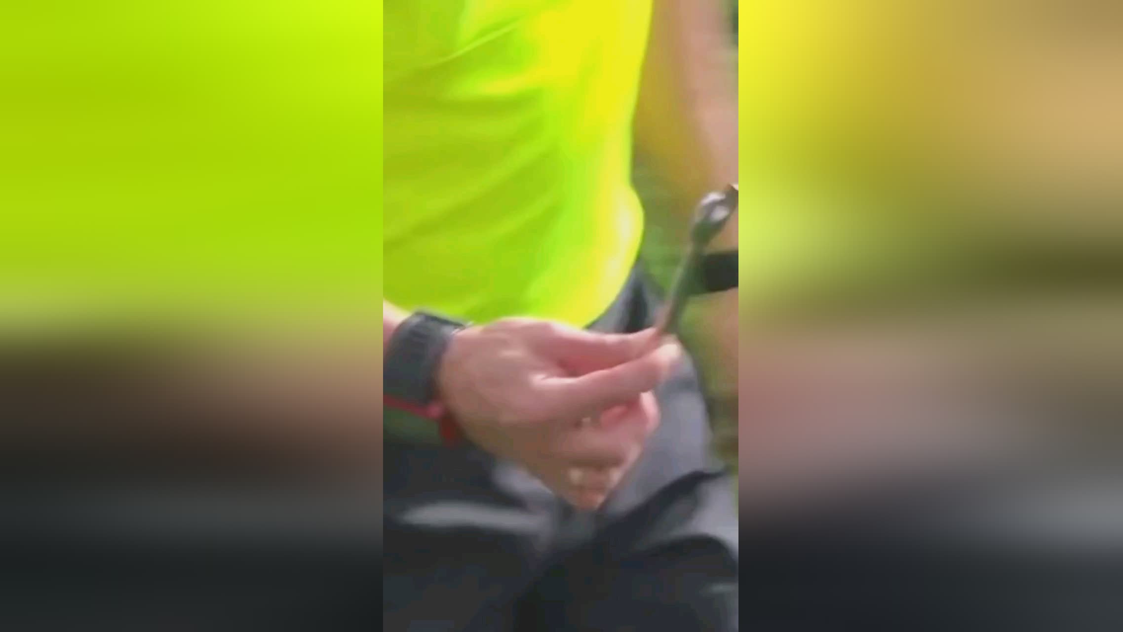 界伙伴是